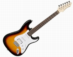ELEKTRO-GITARREN in ihren verschiedenen Gattungen